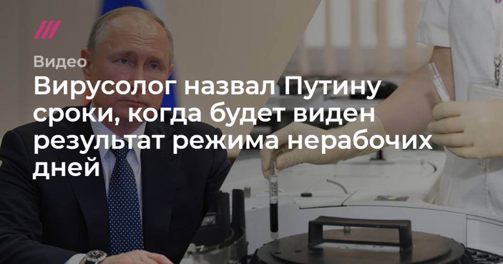 Вирусолог назвал Путину срок, через который будет виден результат режима нерабочих дней - tvrain.ru - Россия