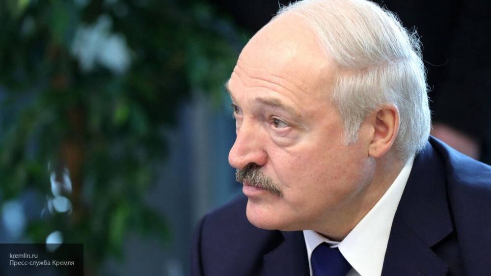 Лукашенко рассказал, кто в зоне риска заражения коронавирусом - inforeactor.ru - Белоруссия