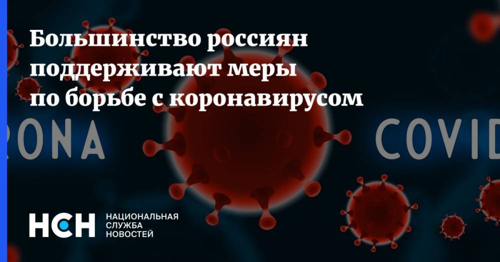 Большинство россиян поддерживают меры по борьбе с коронавирусом - nsn.fm