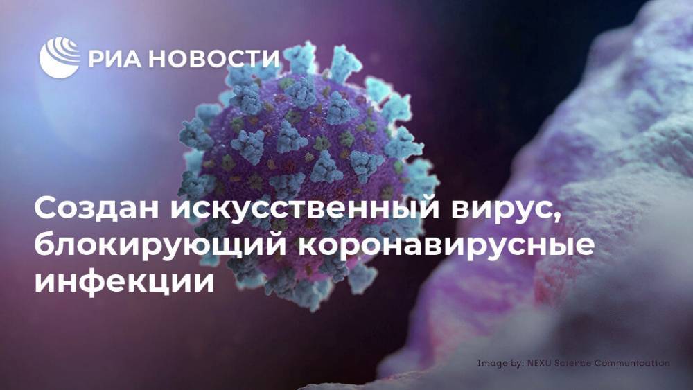 Создан искусственный вирус, блокирующий коронавирусные инфекции - ria.ru - Москва - Сша