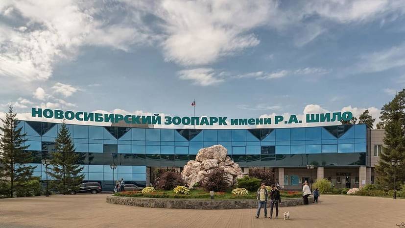 Анатолий Локоть - Зоопарк Новосибирска получит 27,5 млн рублей на поддержание работы - russian.rt.com - Москва - Новосибирск