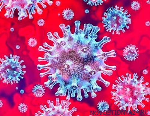 ВЦИОМ: 63% россиян считают достаточными меры против коронавируса, 26% — что их мало - novostidnya24.ru