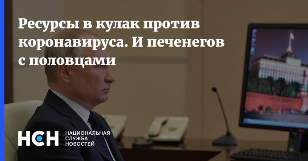 Владимир Путин - Ресурсы в кулак против коронавируса. И печенегов с половцами - nsn.fm