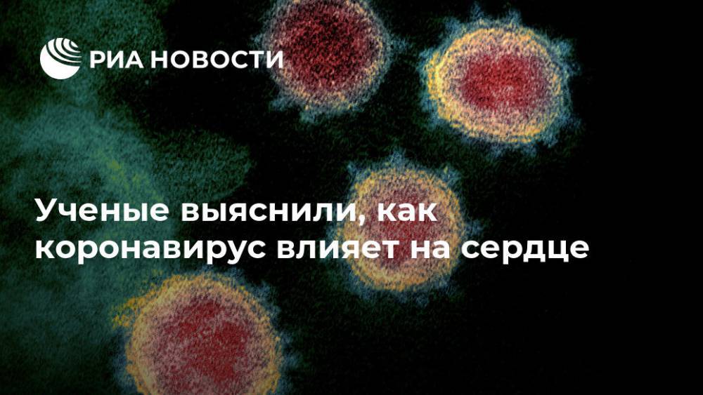 Ученые выяснили, как коронавирус влияет на сердце - ria.ru - Москва