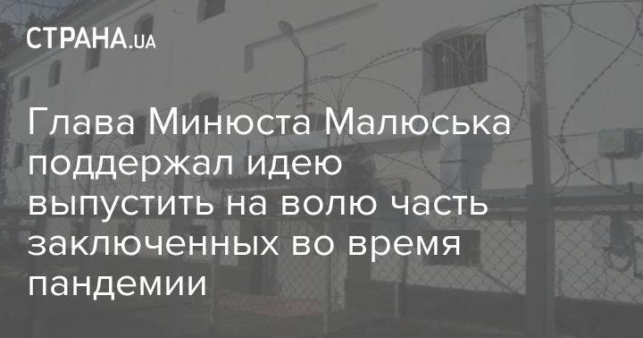 Денис Малюська - Глава Минюста Малюська поддержал идею выпустить на волю часть заключенных во время пандемии - strana.ua - Украина