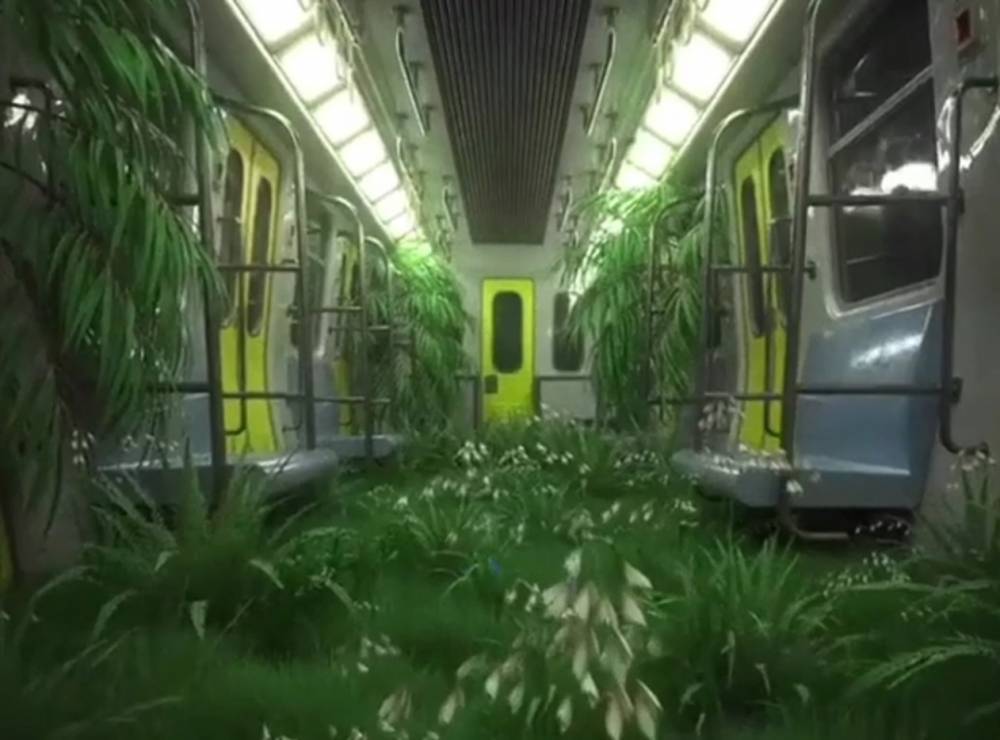 «Сказочный» вид в пустых вагонах Московского метро показали на видео - vm.ru - Москва
