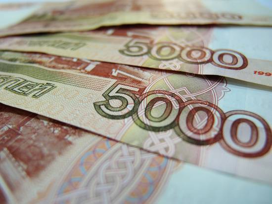 Наталья Мущинкина - РБК назвал размер денежной «подушки», накопленной Россией перед кризисом - newtvnews.ru - Россия