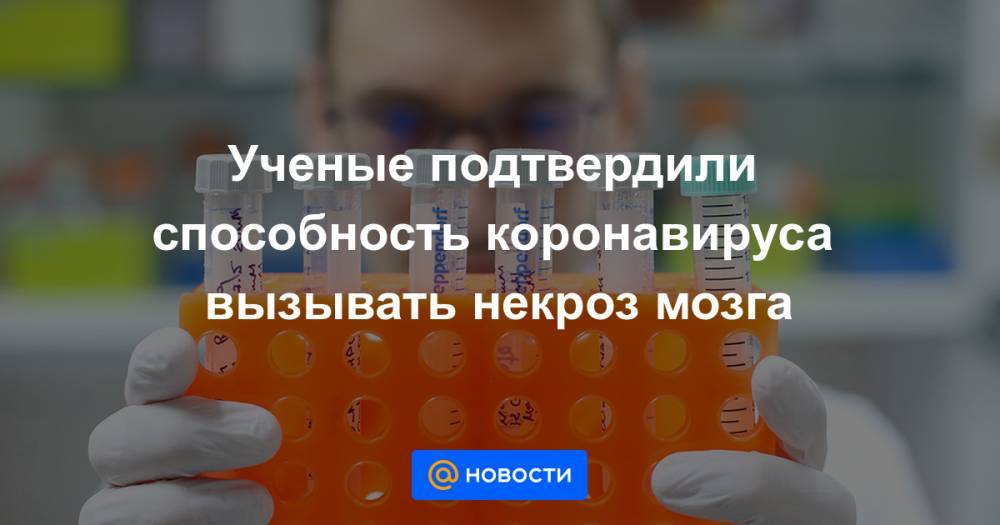 Ученые подтвердили способность коронавируса вызывать некроз мозга - news.mail.ru