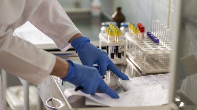 В Казахстане приступили к разработке вакцины от коронавируса - eadaily.com - Казахстан