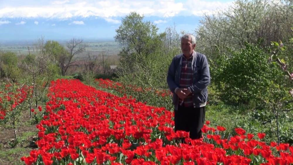 Активисты в Грузии спасли садовнику бизнес и отблагодарили борцов с коронавирусом. - riafan.ru - Грузия