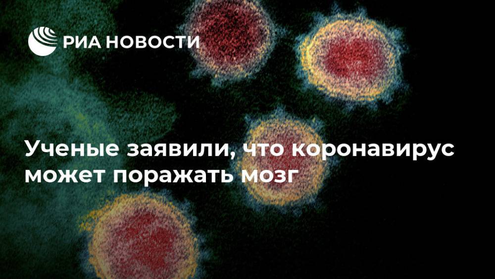 Петр ВЕЛИКИЙ (Великий) - Андрей Козлов - Ученые заявили, что коронавирус может поражать мозг - ria.ru - Россия - Санкт-Петербург - Москва