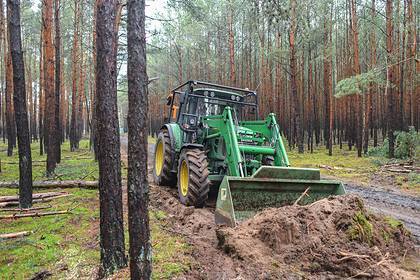 Названа причина появления новых вирусов - lenta.ru