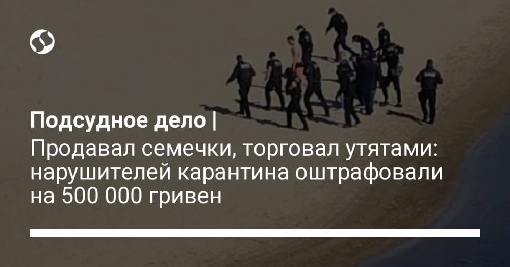 Подсудное дело | Продавал семечки, торговал утятами: нарушителей карантина оштрафовали на 500 000 гривен - liga.net - Украина