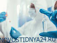 Польские ученые проверяют эффективность нового противовирусного средства - novostidnya24.ru