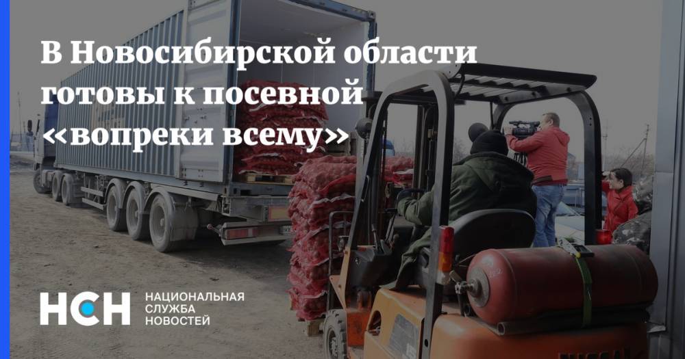 В Новосибирской области готовы к посевной «вопреки всему» - nsn.fm - Новосибирская обл.