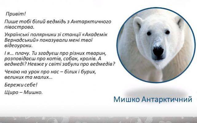Елена Зеленская - Украинские школьники на онлайн-уроке узнали про белых медведей в Антарктиде - eadaily.com - Антарктида