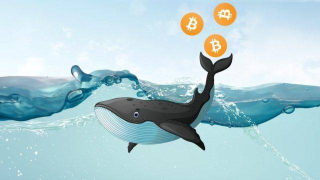 Крипто-киты вывели сегодня с OKEx и Bitfinex $66 млн на свои кошельки - vestirossii.com