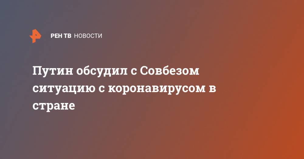 Владимир Путин - Путин обсудил с Совбезом ситуацию с коронавирусом в стране - ren.tv - Россия