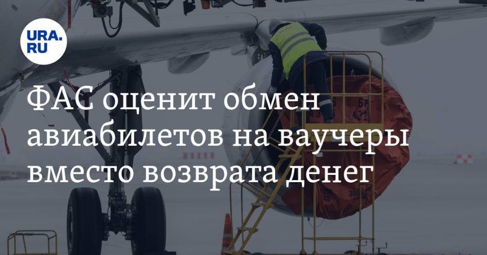 ФАС оценит обмен авиабилетов на ваучеры вместо возврата денег - ura.news