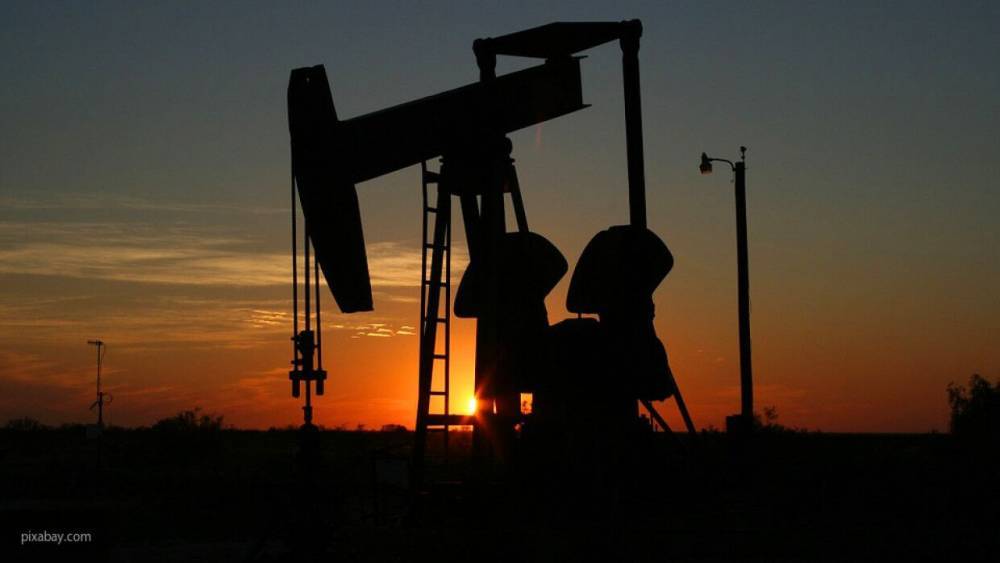 Аналитик Диксон объяснила снижение цен на нефть после запуска сделки ОПЕК+ - politexpert.net