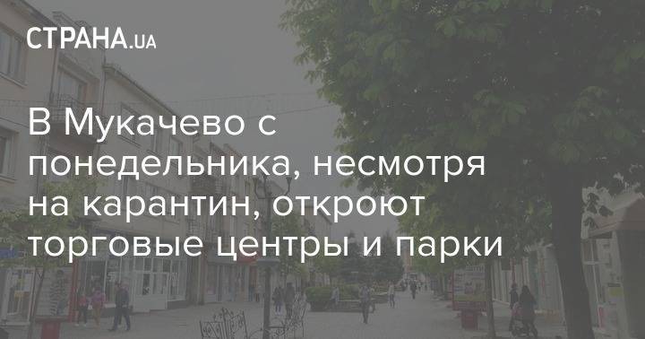 В Мукачево с понедельника, несмотря на карантин, откроют торговые центры и парки - strana.ua