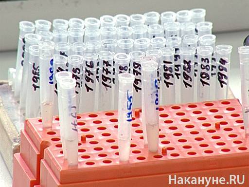 Второй очаг коронавируса за день выявлен в Югре - nakanune.ru - округ Югра