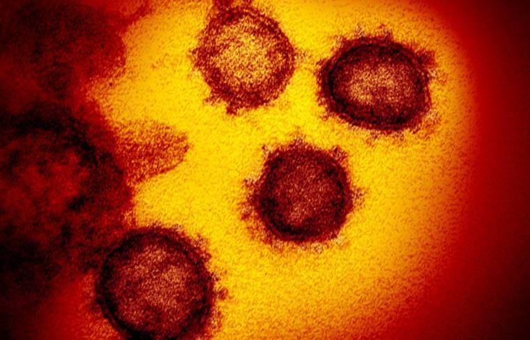 Дональд Трамп - Число умерших от коронавируса в США превысило 80 тысяч - news.ru - Сша