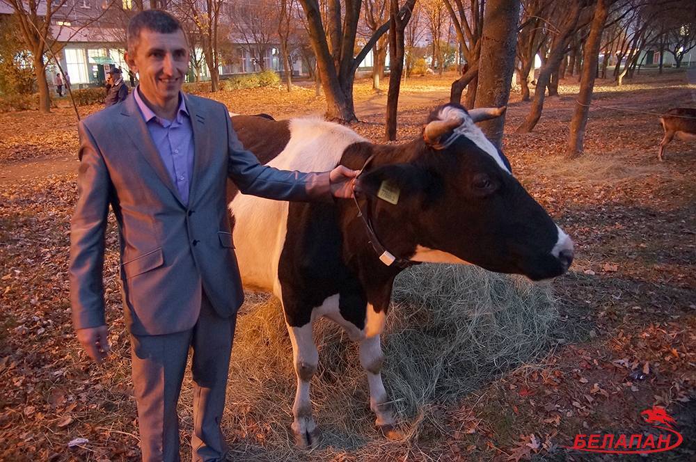 Фермер Ганцевич хочет стать президентом - naviny.by