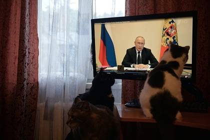 Владимир Путин - Путин высказался о снятии ограничений из-за коронавируса - lenta.ru - Россия