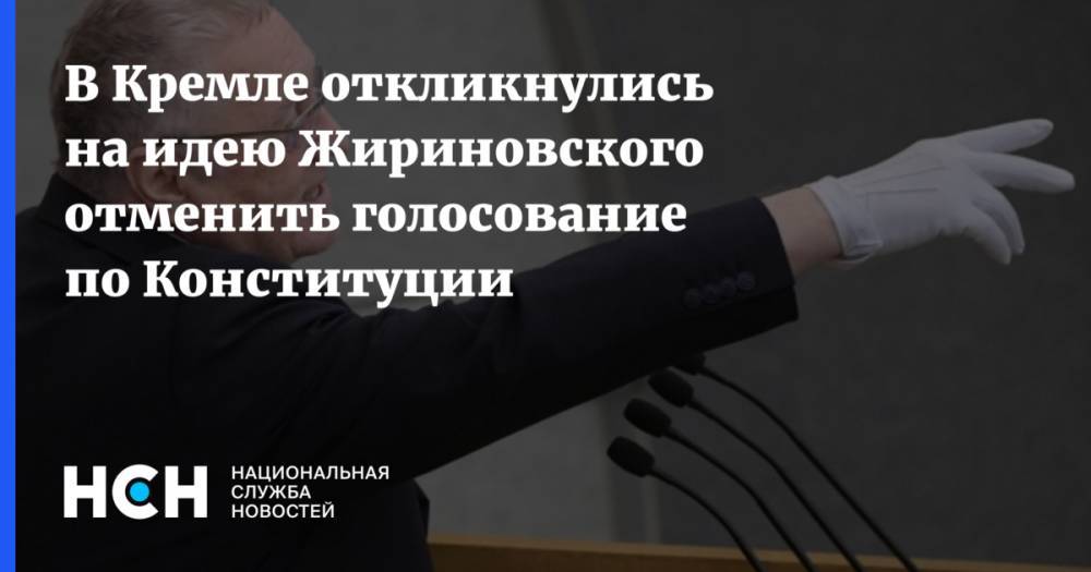 Дмитрий Песков - Владимир Жириновский - В Кремле откликнулись на идею Жириновского отменить голосование по Конституции - nsn.fm - Россия
