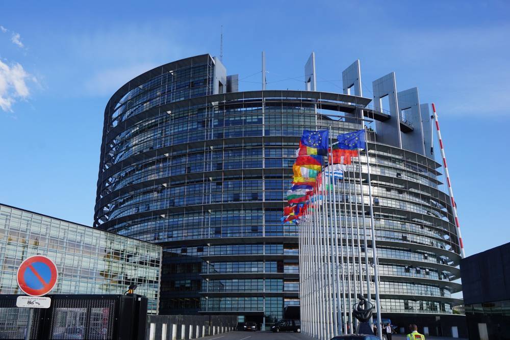Депутаты Европарламента призвали снять ограничения на границах Шенгенской зоны - vm.ru - Евросоюз
