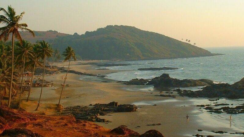 Отъезд туристов принес неожиданное благо Индии - riafan.ru - Индия - Нью-Дели