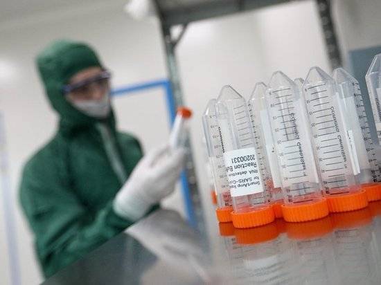 Павел Волчков - Вирусолог назвал срок появления реально действующего лекарства от COVID-19 - newtvnews.ru - Москва