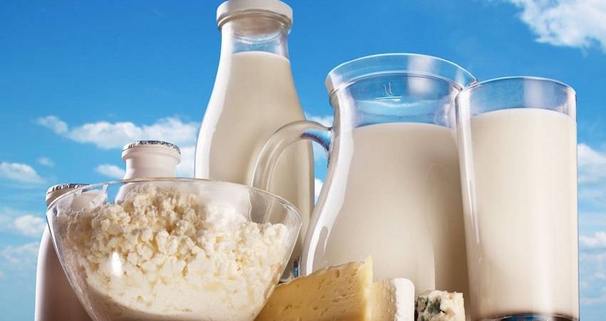 Производство молока должно быть уменьшено в масштабах всего Евросоюза — EMB - produkt.by - Италия - Евросоюз
