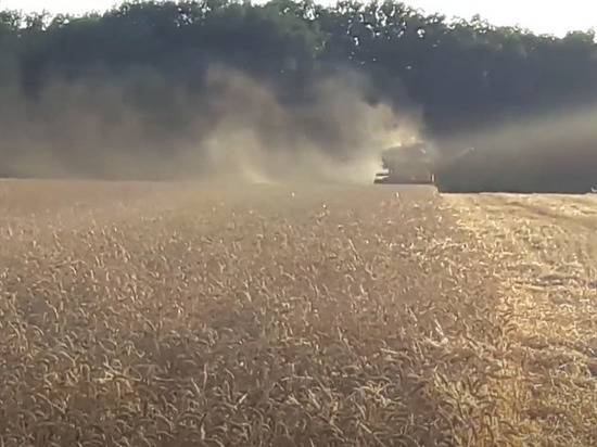 Американские аналитики сообщили, что Россию ждет рекордный урожай зерна - newtvnews.ru - Россия - Сша - республика Крым