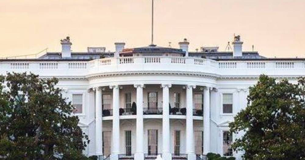 Белый дом не ведет консультаций о переносе президентских выборов в США - ren.tv - Сша