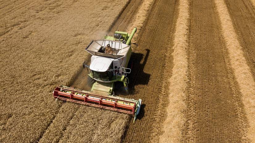 Зерновое первенство: за счёт чего Россия может вновь стать мировым лидером по экспорту пшеницы - russian.rt.com - Россия - Сша - Канада - Евросоюз