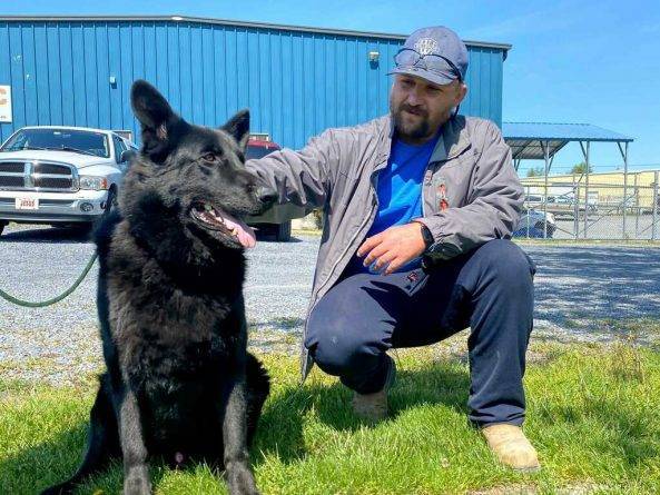 Строитель из Виргинии спас собаку, когда ее хозяйка застряла в пробке по пути к ветеринару - usa.one - Сша - штат Виргиния