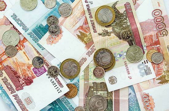 Даниил Егоров - В ФНС рассказали, как налоговым должникам получить субсидию на зарплаты - pnp.ru - Россия