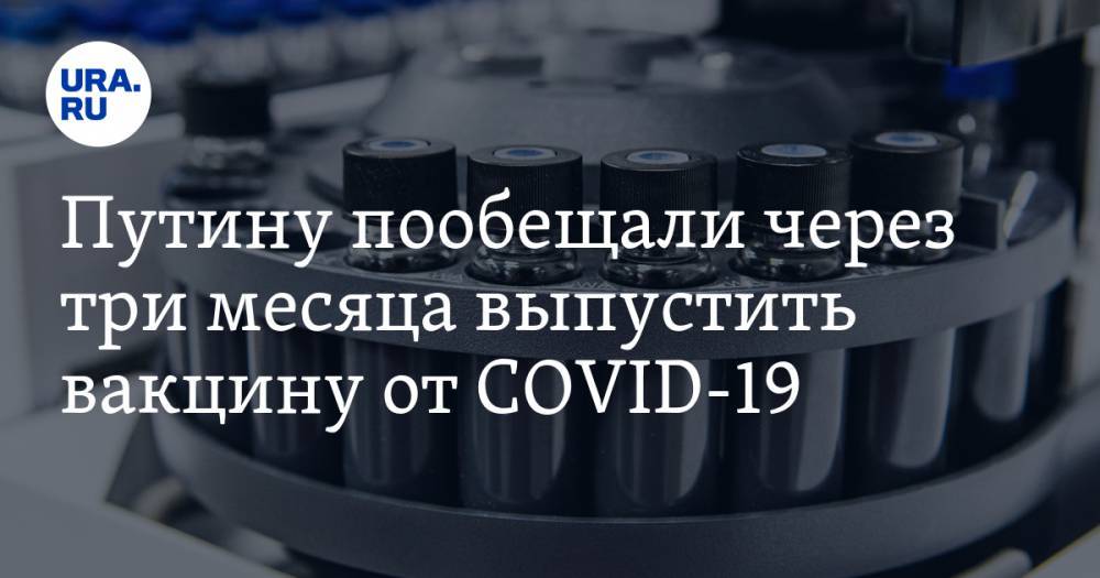 Владимир Путин - Ринат Максютов - Путину пообещали через три месяца выпустить вакцину от COVID-19 - ura.news - Россия