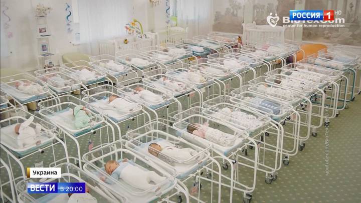 Ангелы на продажу из "Венеции": коронавирус ударил по нелегальной торговле младенцами на Украине - vesti.ru - Украина