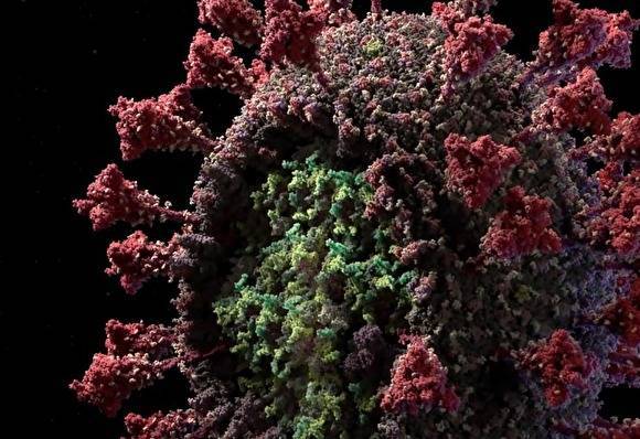 Российская студия представила детальную 3D-модель коронавируса SARS-CoV-2 - znak.com