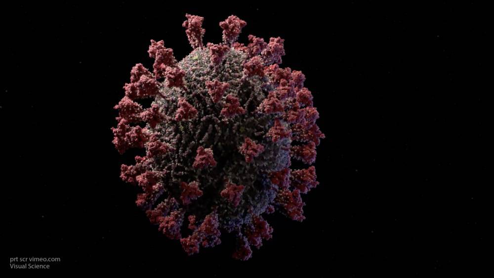 В России создали самую достоверную 3D-модель коронавируса - inforeactor.ru - Россия