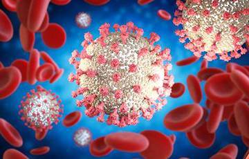 Ученые создали наиболее детализированную 3D-модель коронавируса - charter97.org