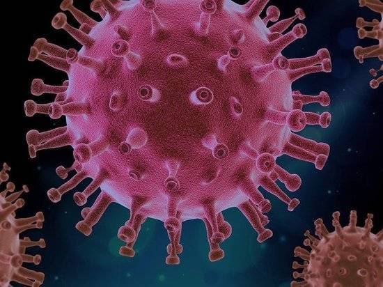 Российский ученый объяснил, как коронавирус приводит к мужскому бесплодию - newtvnews.ru - Китай