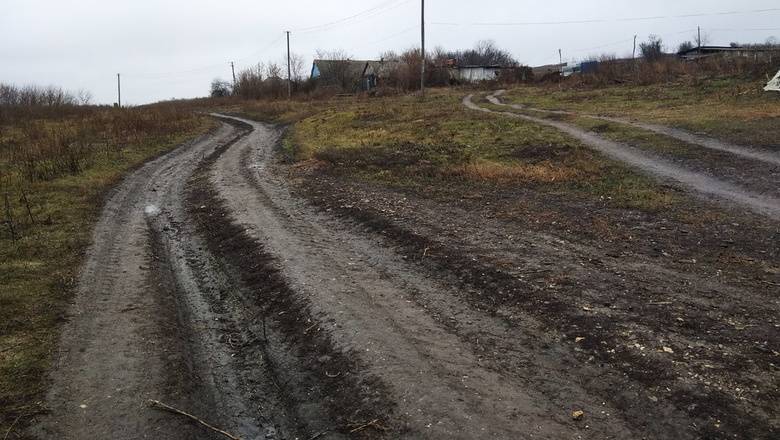 В Тверской области жителям начали бесплатно выделять землю под картофель - newizv.ru - Тверская обл.