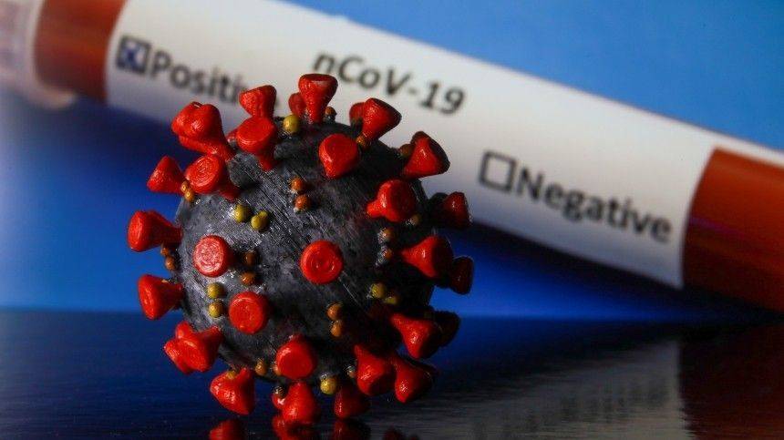 Михаил Костинов - Врач-иммунолог оценил шансы повторно заразиться коронавирусом - 5-tv.ru - республика Бурятия