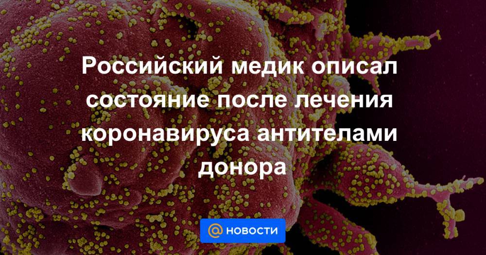 Российский медик описал состояние после лечения коронавируса антителами донора - news.mail.ru - Санкт-Петербург
