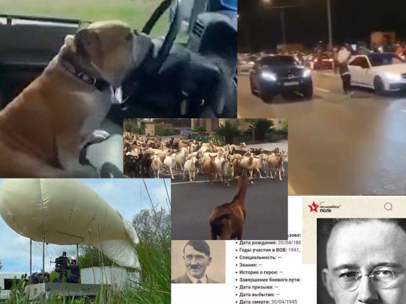 Самые интересные видео дня - bloknot.ru - Россия - Сша