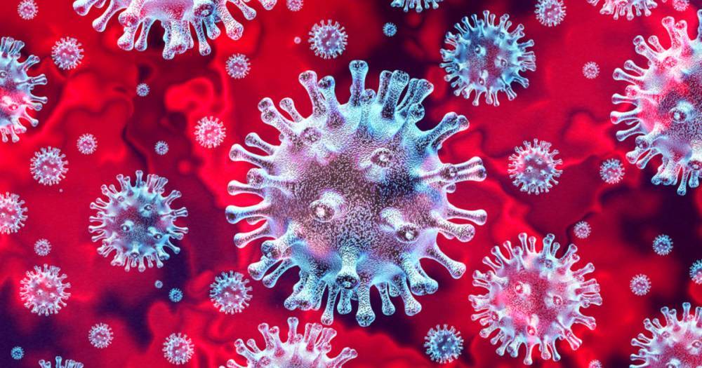 Точно работает: найдено антитело для полной блокировки коронавируса - ren.tv - Сша